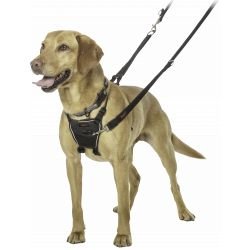 Halti No Pull Dog Harness Black