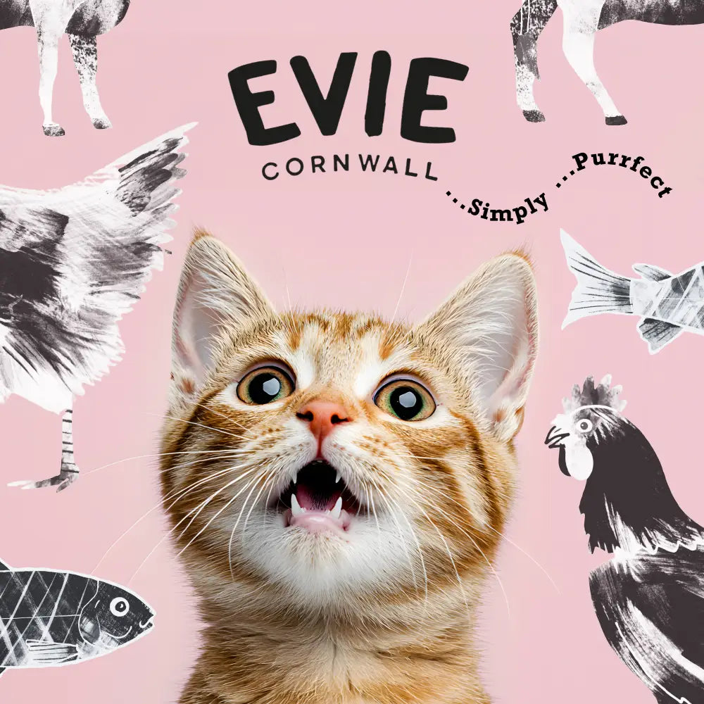 Evie Natural Dry Cat Food Turkey With Chicken